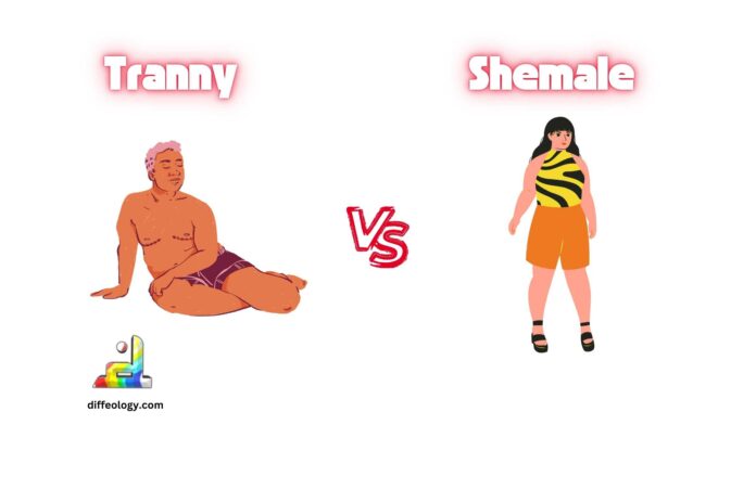 Difference Between Tranny and Shemale