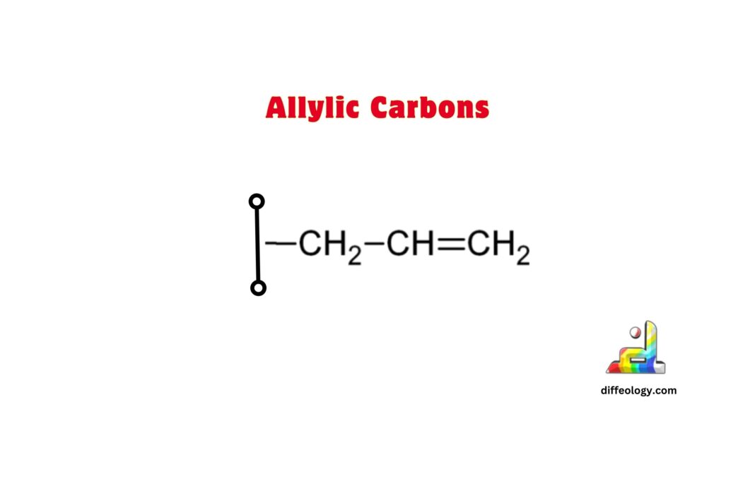 Difference Between Allylic And Vinylic Carbons | Diffeology