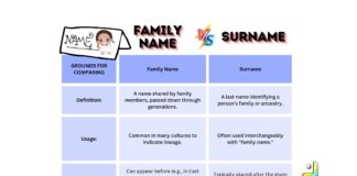 Difference Between Family Name and Surname