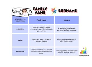 Difference Between Family Name and Surname