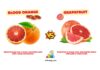 Difference Between Blood Orange and Grapefruit