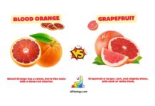 Difference Between Blood Orange and Grapefruit