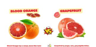 Difference Between Blood Orange and Grapefruit