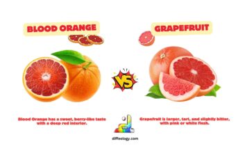 Difference Between Blood Orange and Grapefruit