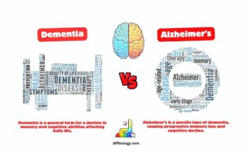 Difference Between Dementia and Alzheimer's
