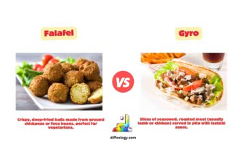 Difference Between Falafel and Gyro