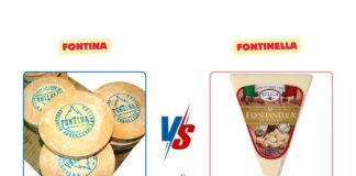 Difference Between Fontina and Fontinella