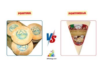 Difference Between Fontina and Fontinella