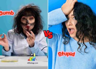 Difference Between Dumb and Stupid