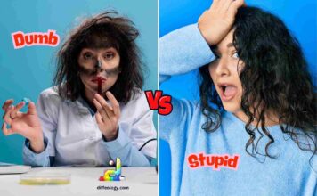 Difference Between Dumb and Stupid