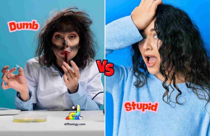 Difference Between Dumb and Stupid