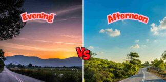 Difference Between Evening and Afternoon