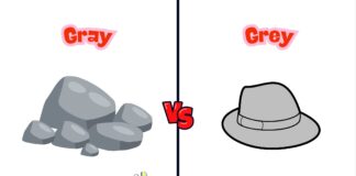 Difference Between Gray and Grey