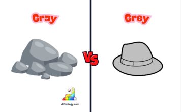 Difference Between Gray and Grey