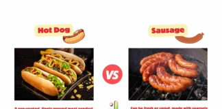 Difference Between Hot Dog and Sausage