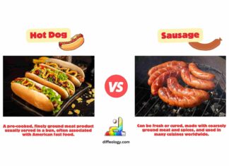 Difference Between Hot Dog and Sausage