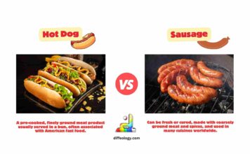 Difference Between Hot Dog and Sausage