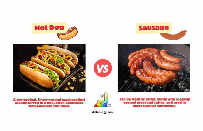Difference Between Hot Dog and Sausage