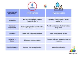 Difference Between Hydrophilic and Hydrophobic