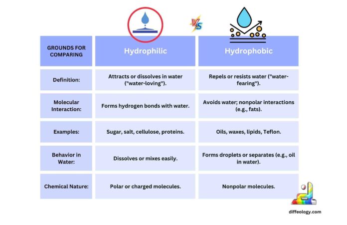 Difference Between Hydrophilic and Hydrophobic