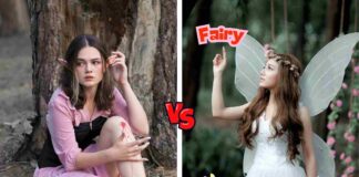 Difference Between Pixie and Fairy