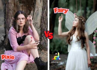 Difference Between Pixie and Fairy