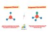 Difference Between Trigonal Planar and Trigonal Pyramidal