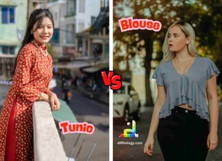 Difference Between Tunic and Blouse