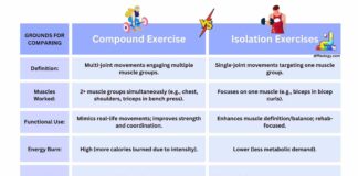 Difference Between Compound and Isolation Exercises