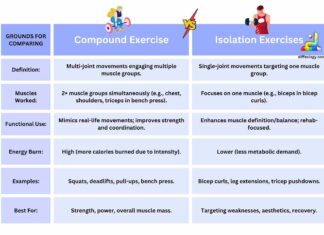 Difference Between Compound and Isolation Exercises