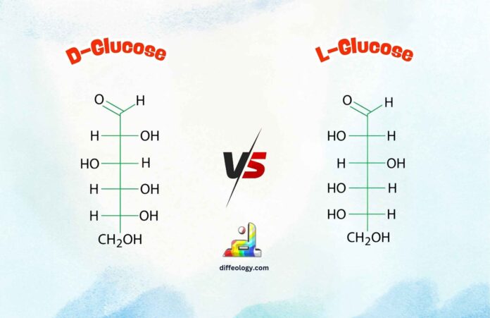 Difference Between D and L Glucose