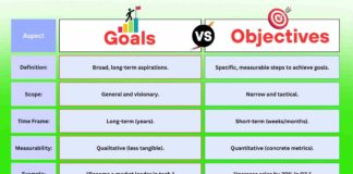 Difference Between Goals and Objectives