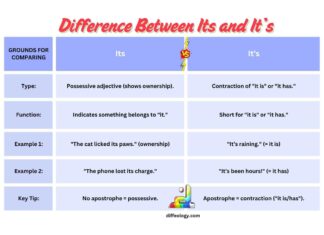 Difference Between Its and It’s