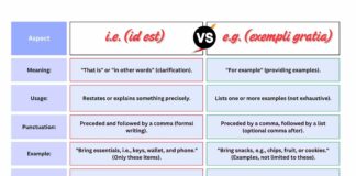 Difference Between ie and eg
