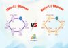 Differences Between Alpha and Beta Glucose