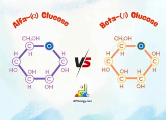 Differences Between Alpha and Beta Glucose