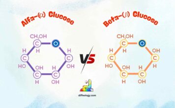 Differences Between Alpha and Beta Glucose