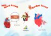 Difference Between Heart Attack and Cardiac Arrest