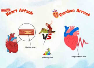 Difference Between Heart Attack and Cardiac Arrest
