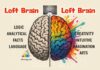 Difference Between Left and Right Brain