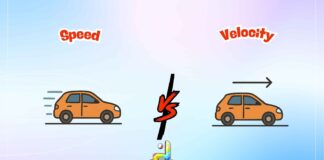 Difference Between Speed and Velocity