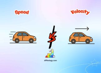 Difference Between Speed and Velocity