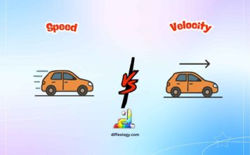 Difference Between Speed and Velocity