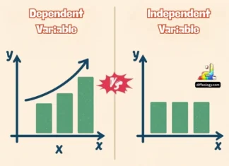 Difference Between Dependent and Independent Variable