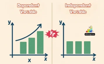Difference Between Dependent and Independent Variable