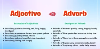 Difference Between Adjective and Adverb