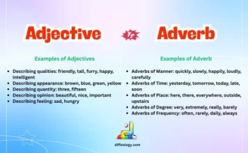 Difference Between Adjective and Adverb