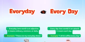 Difference Between Everyday and Every Day