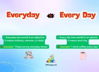 Difference Between Everyday and Every Day