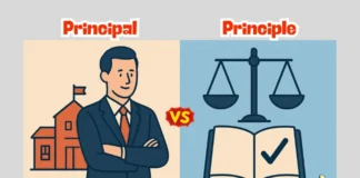 Difference Between Principal and Principle